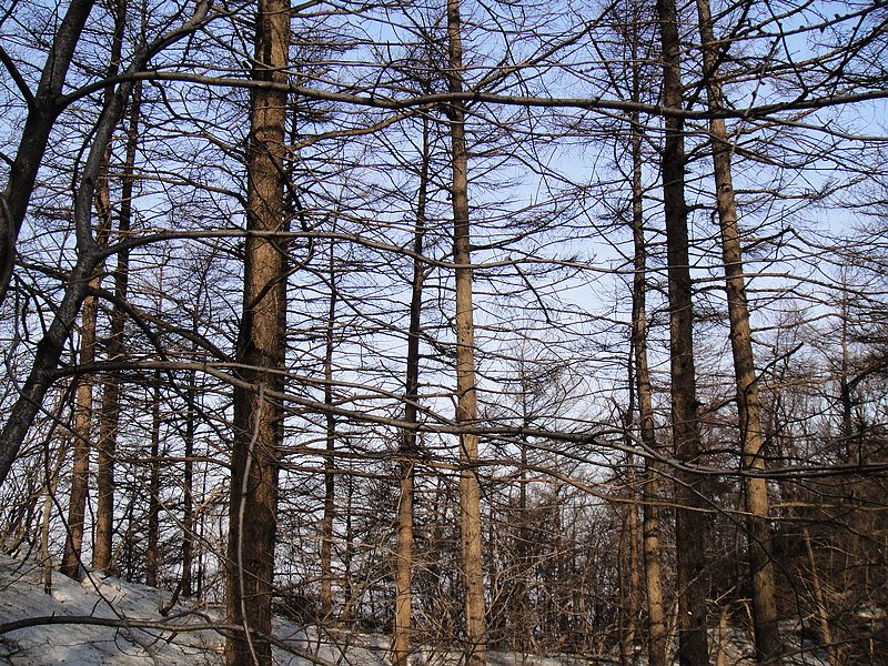 DSC09144.jpg