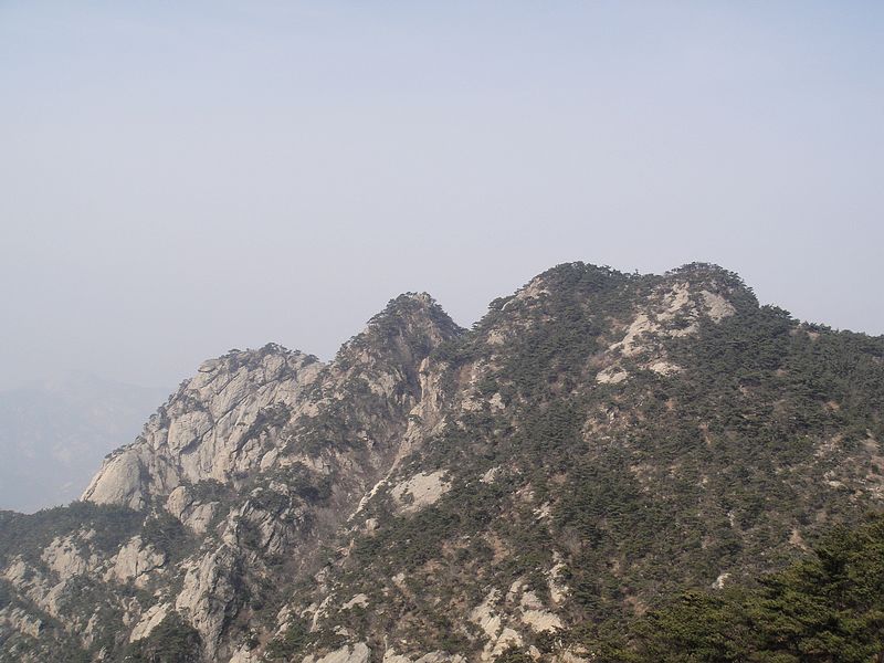 劈劈的驼峰