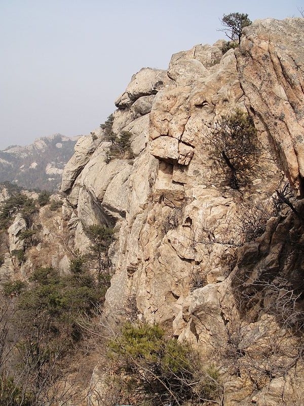 DSC09211.jpg