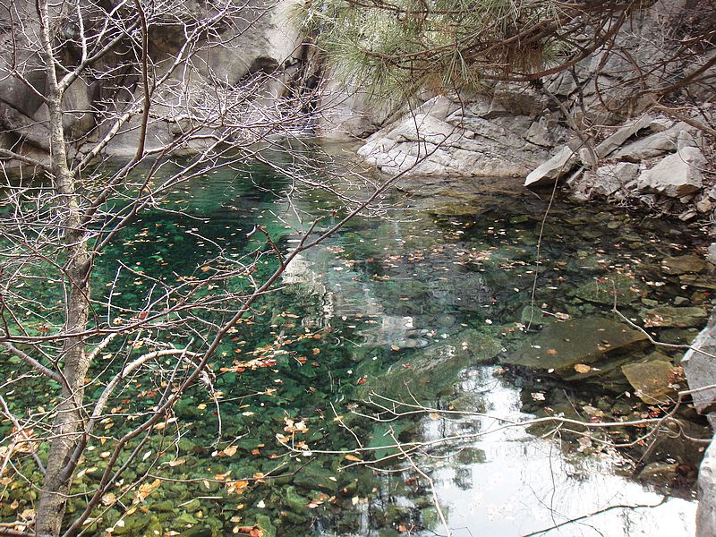 DSC09228.jpg