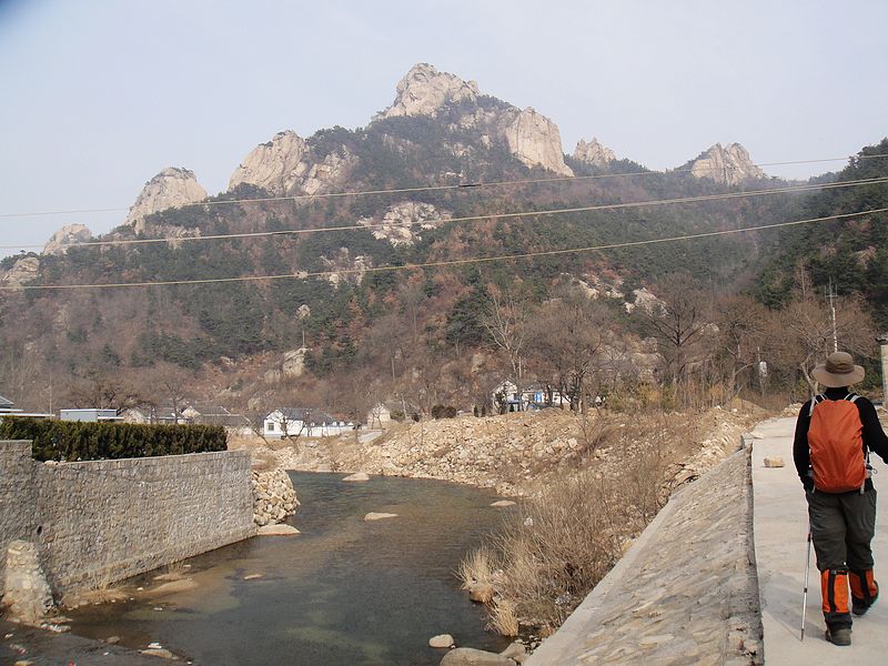 DSC09238.jpg