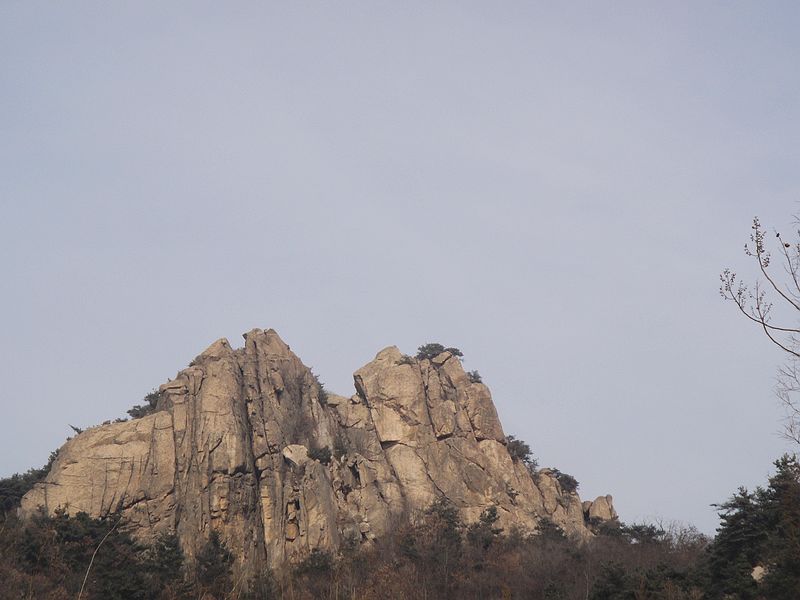DSC09247.jpg