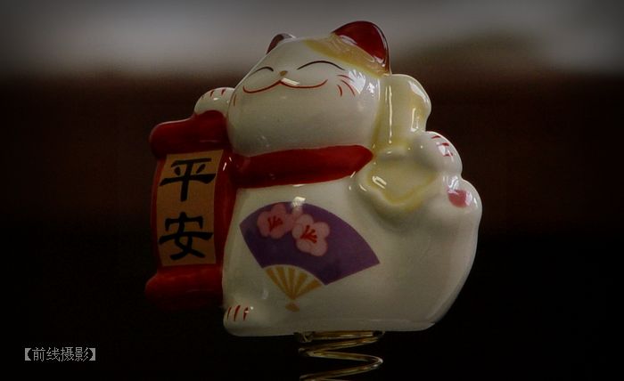 DSC08382-2.jpg