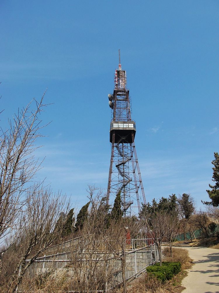 电视塔