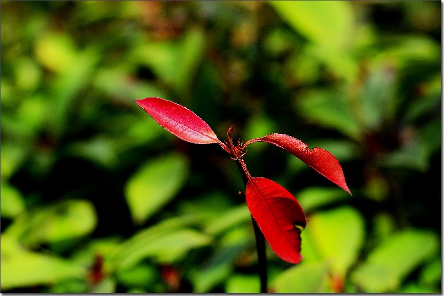 塔山随走 (84).jpg