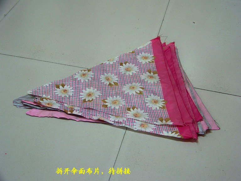 100_1961_缩小大小.JPG