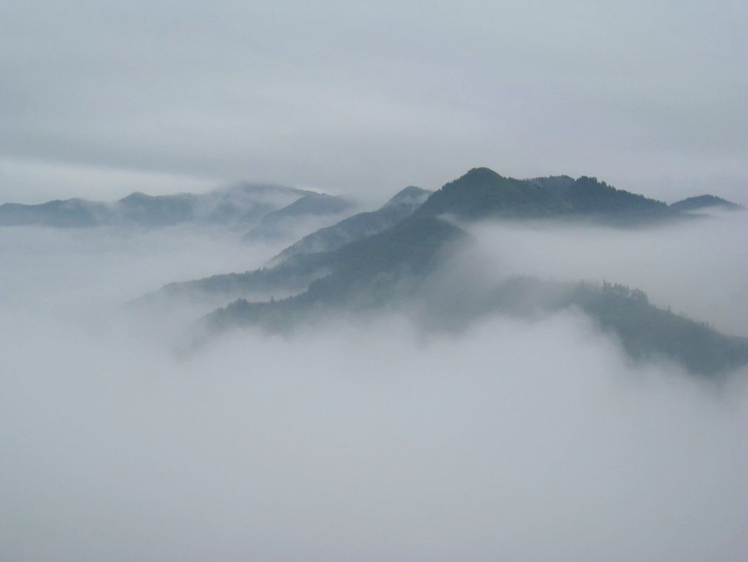 照片 280.jpg