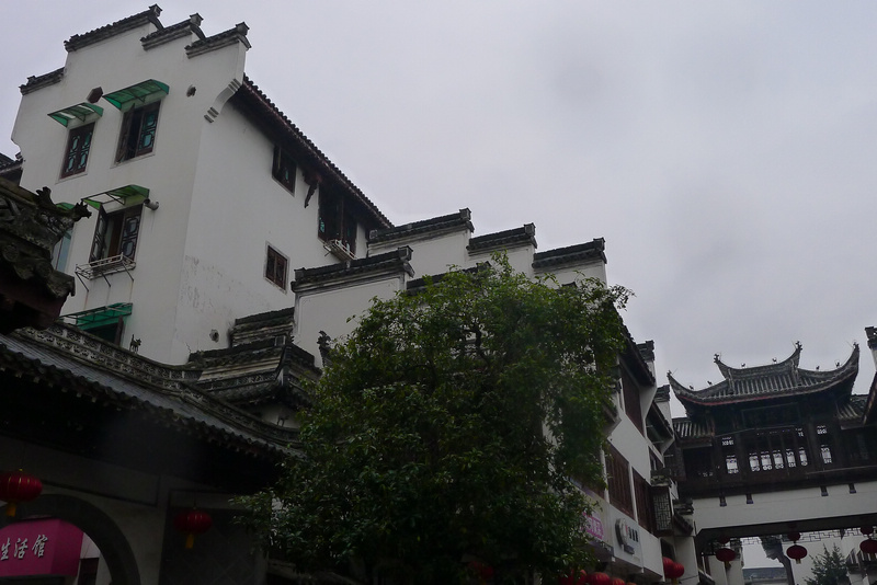 P1000414.jpg