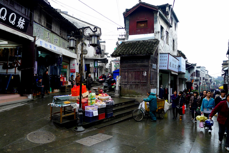 P1000456.jpg