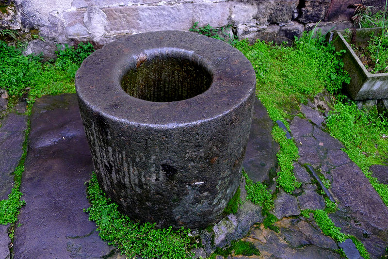 P1000447.jpg