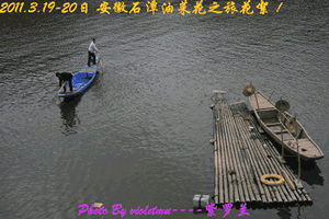 77.gif