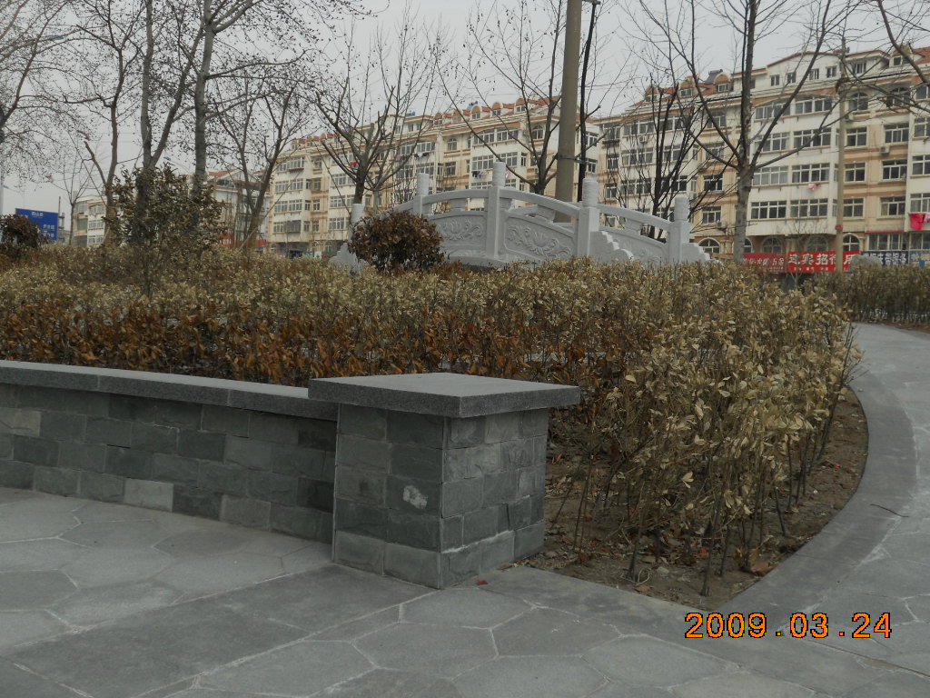 DSCN0437.jpg