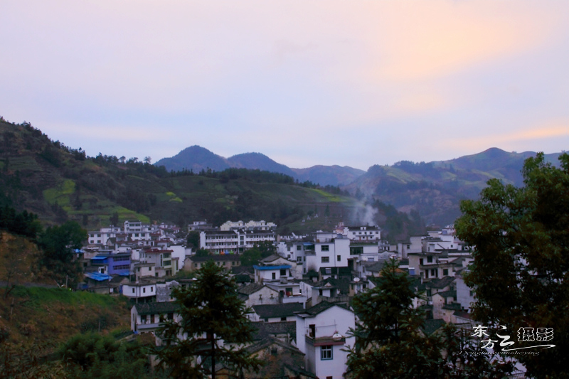 IMG_8698.jpg