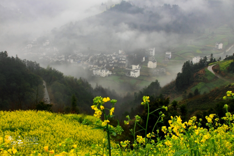 IMG_8765.jpg