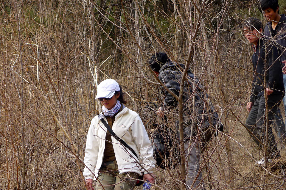 P1000914.jpg