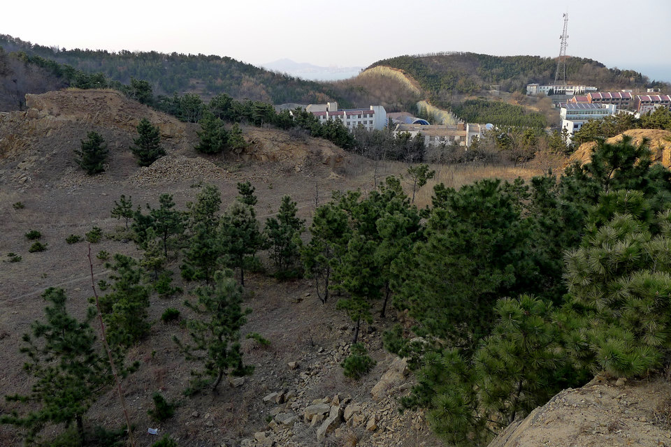 P1000949.jpg