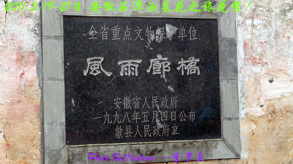 98.jpg