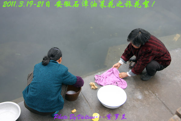 225.jpg