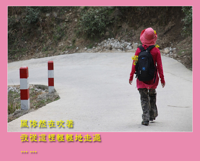 美丽的小鱼.jpg