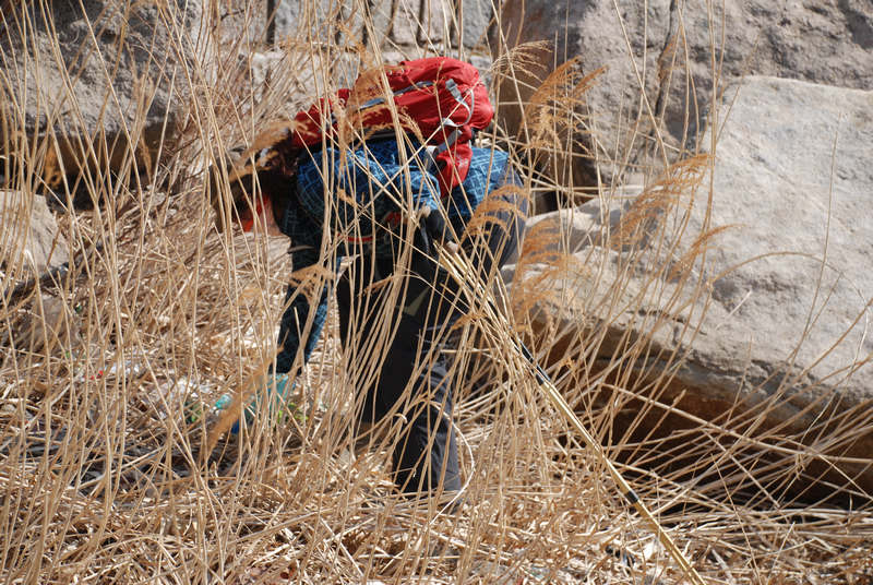 DSC_1105.JPG
