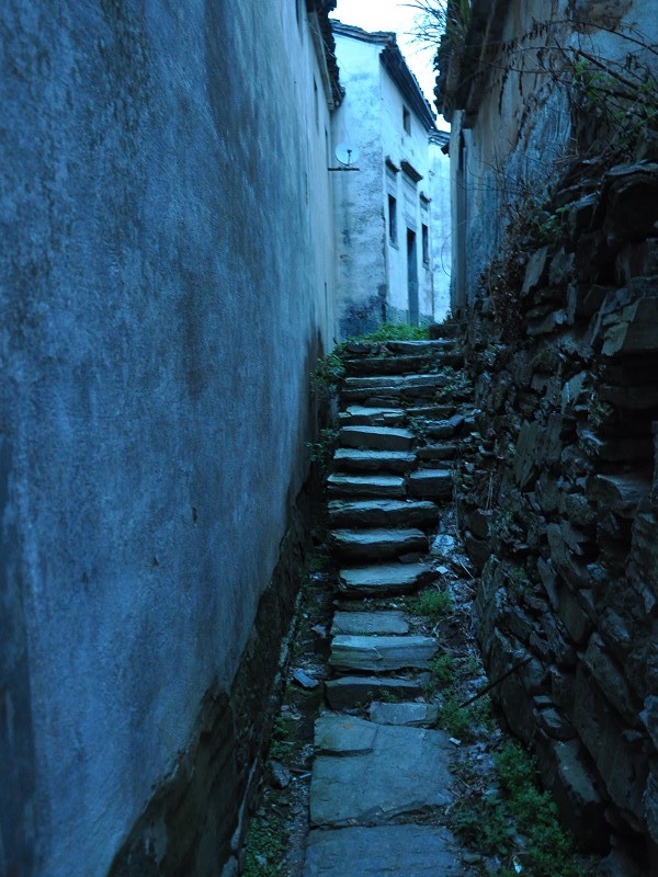 PhotoCap_221.jpg