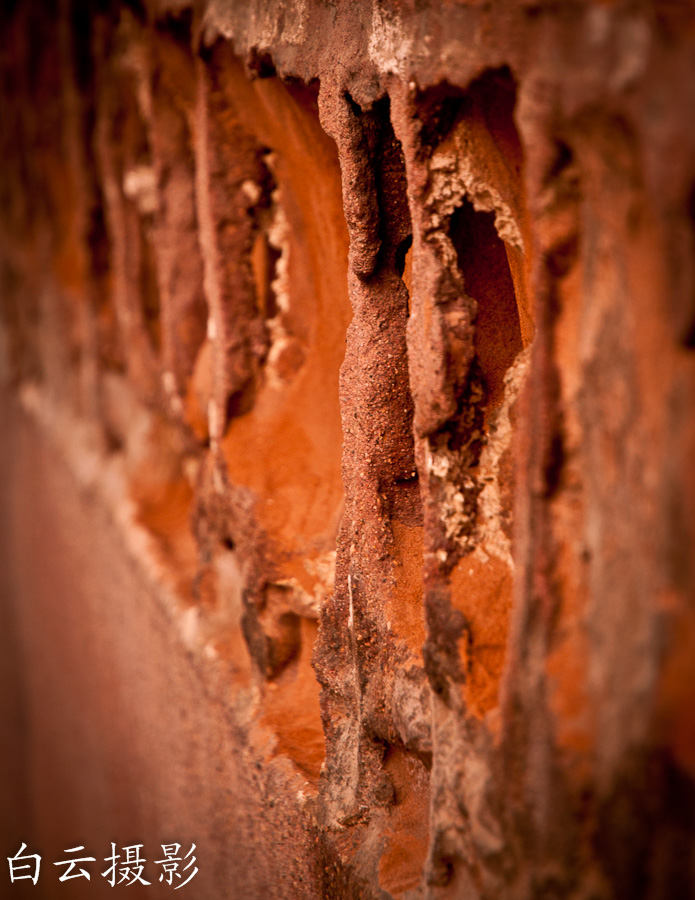DSC_3077.jpg