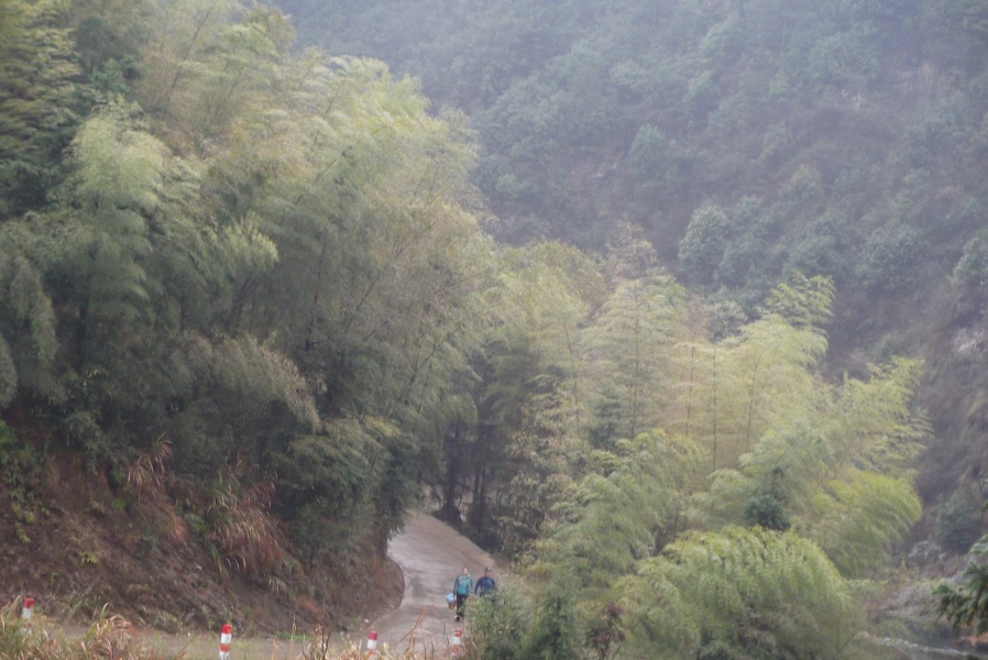 DSCF1453.JPG