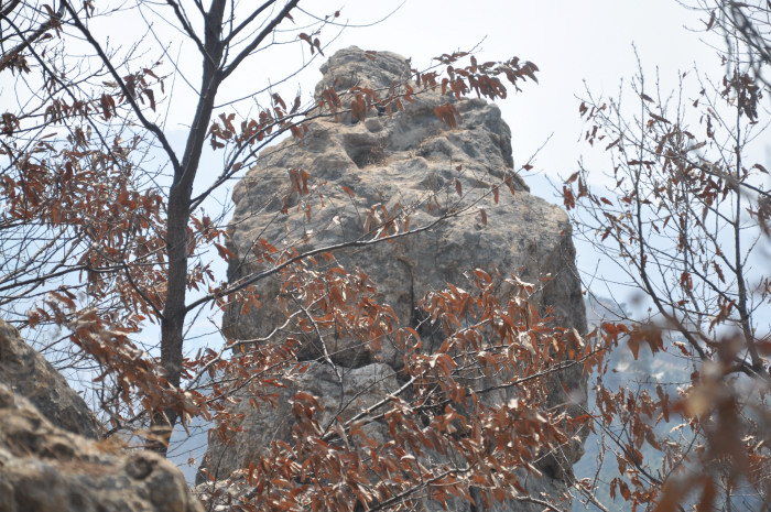 DSC_5750.JPG