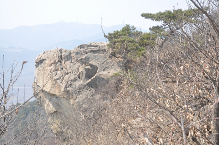 DSC_5770.JPG