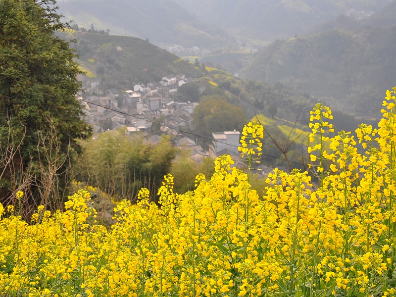 PhotoCap_272.jpg