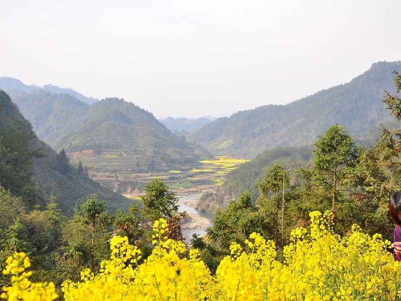 PhotoCap_285.jpg