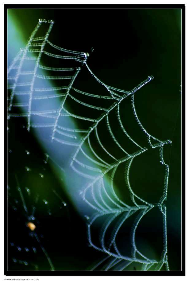 _DSF0388.jpg