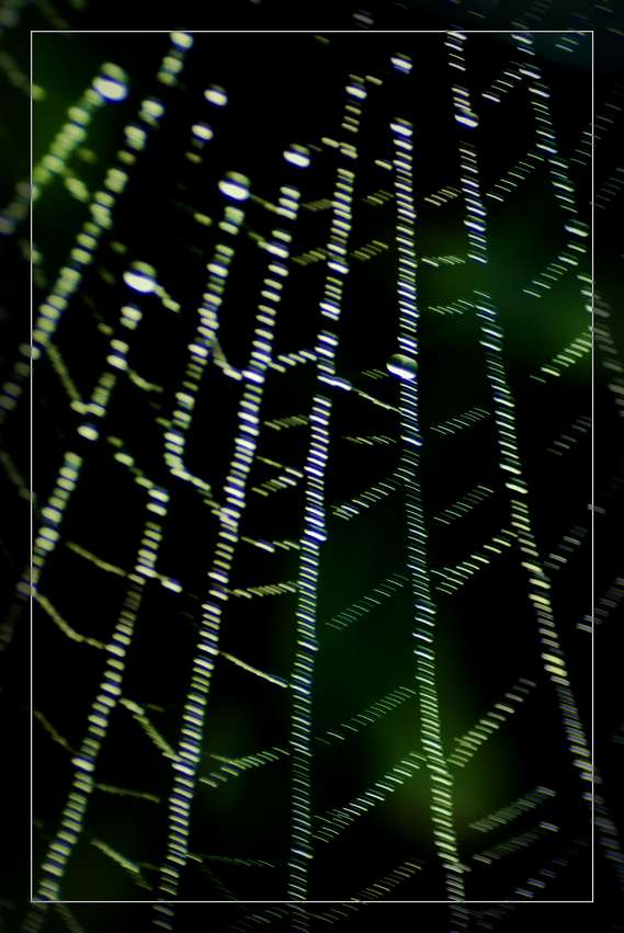 _DSF0598.jpg