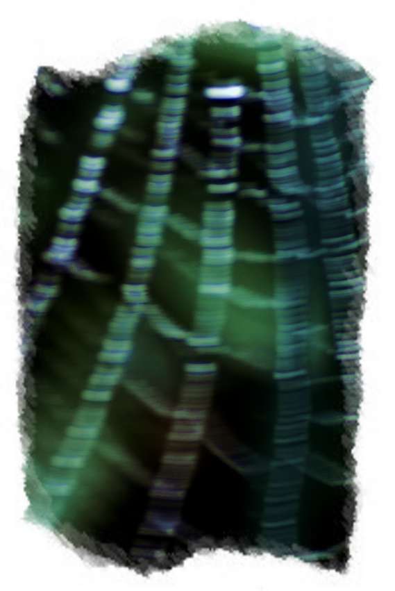 _DSF0605.jpg