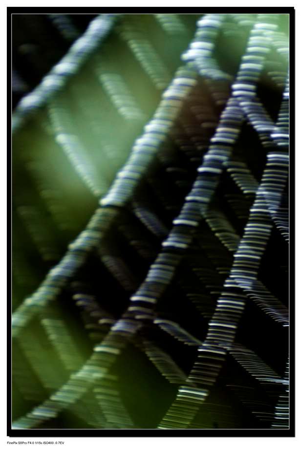 _DSF0607.jpg