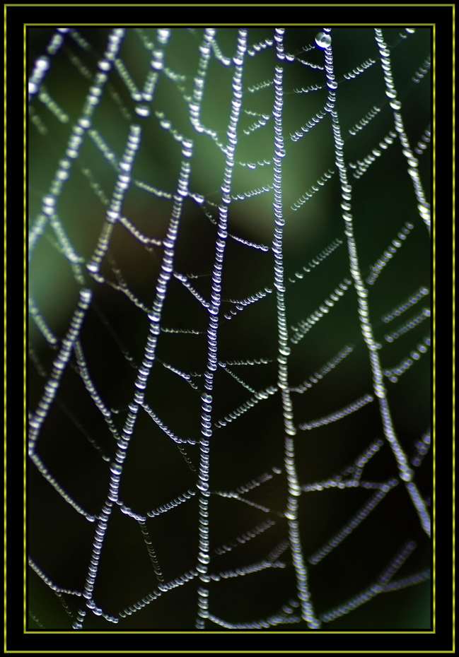 _DSF0610.jpg
