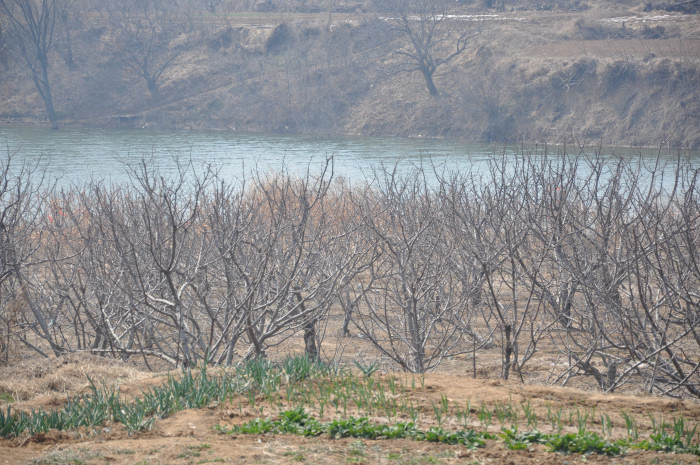DSC_5790.JPG