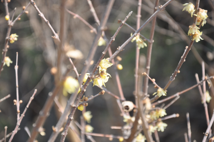 DSC_5761.JPG