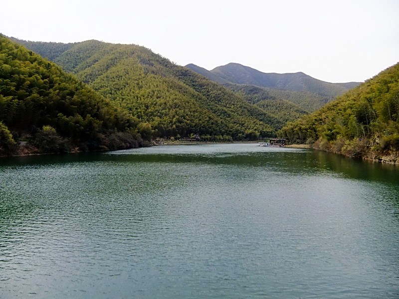 竹海