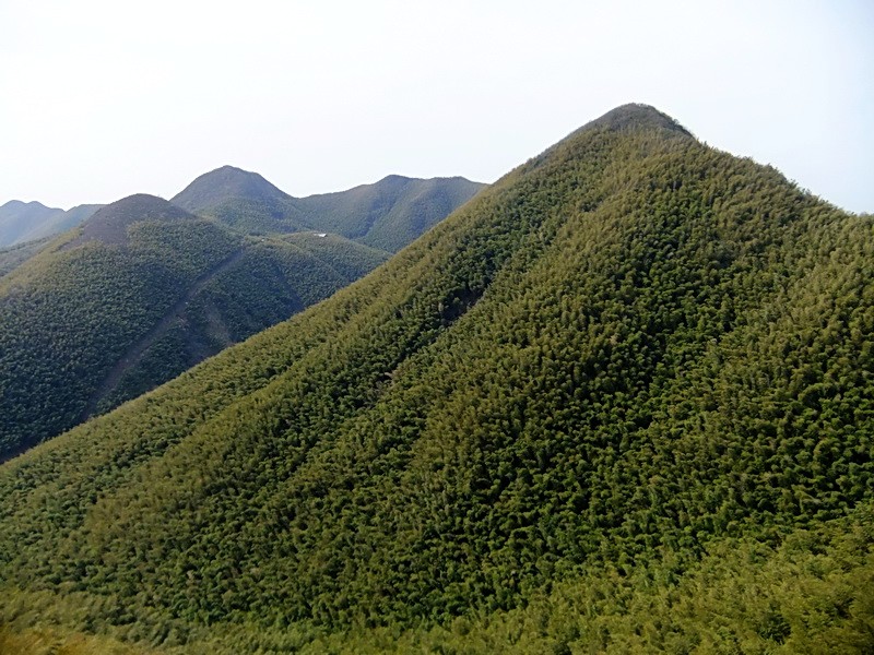 竹海