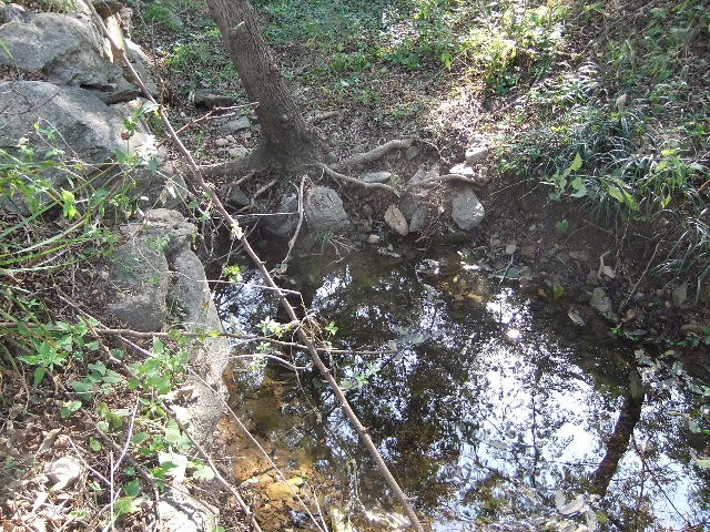 DSCF0569.jpg