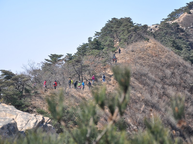 PhotoCap_038.jpg