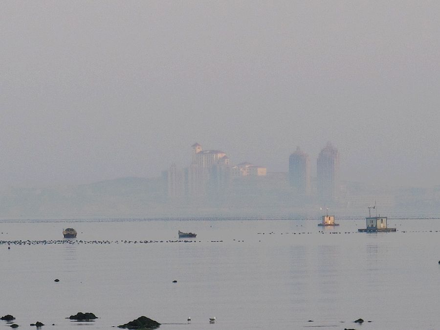IMG_2245.jpg