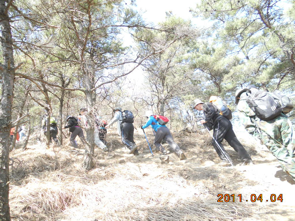 DSCN0470.jpg