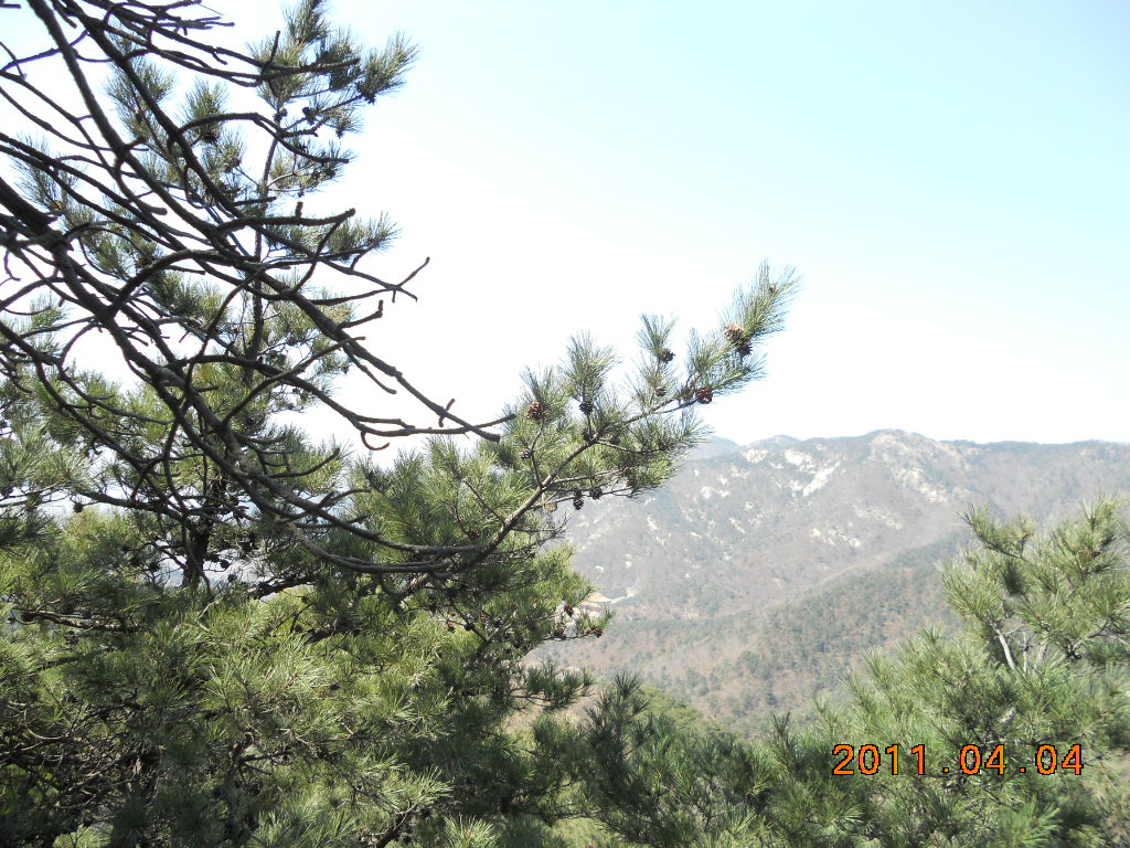 DSCN0507.jpg