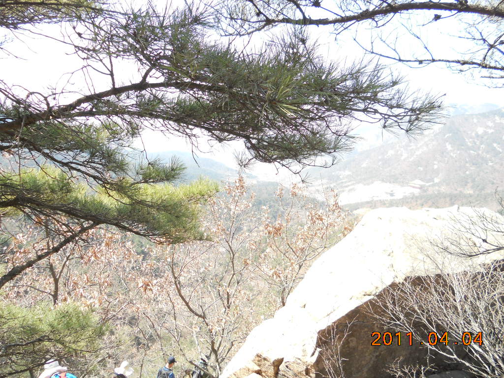 DSCN0509.jpg