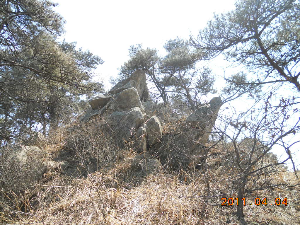 DSCN0504.jpg