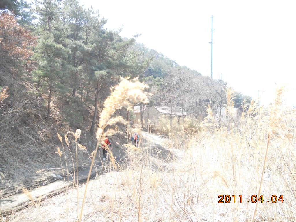 DSCN0517.jpg