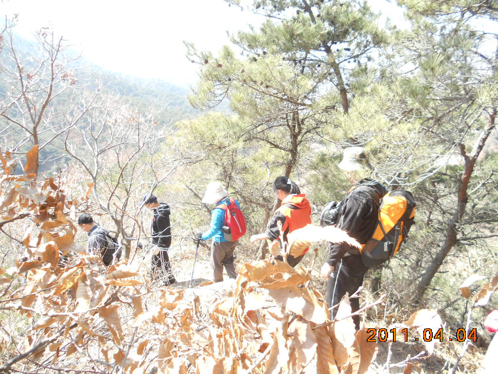 DSCN0514.jpg