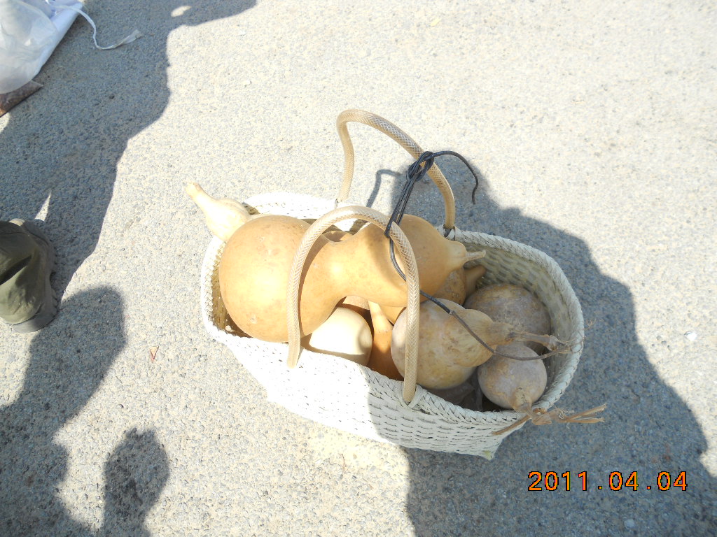 DSCN0524.jpg